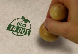 WhatsApp Image 2024-05-17 at 10.33.29 PM