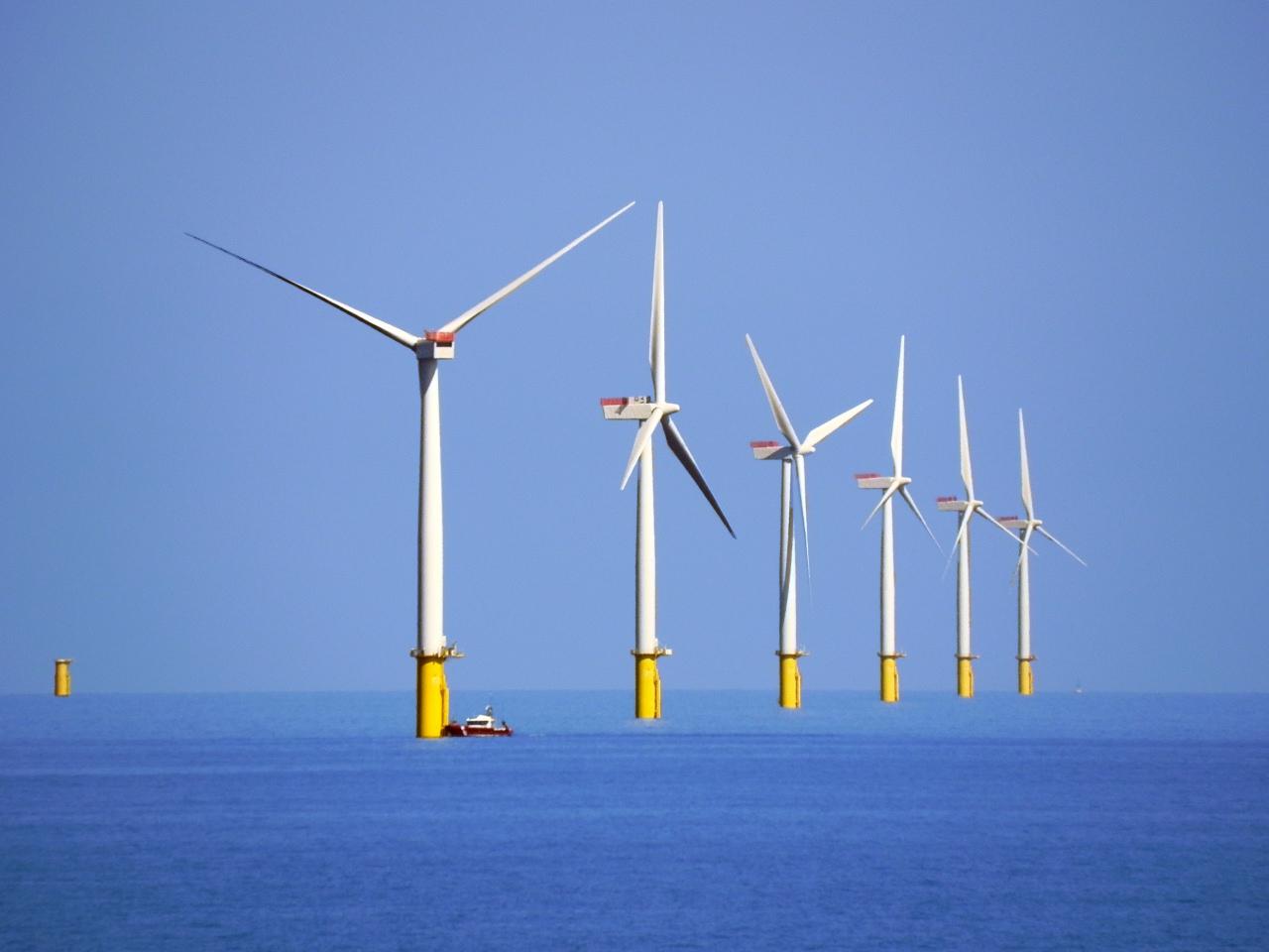Offshore Wind Farm Project